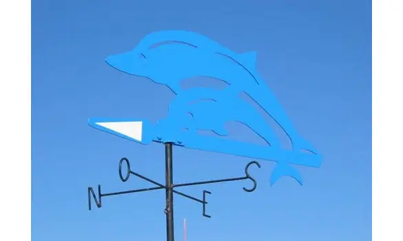 DAUPHINS